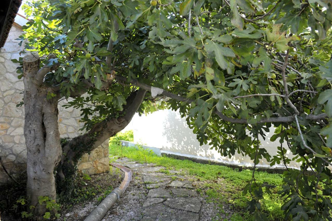 Grandpa Mate House Villa Dragove Екстериор снимка